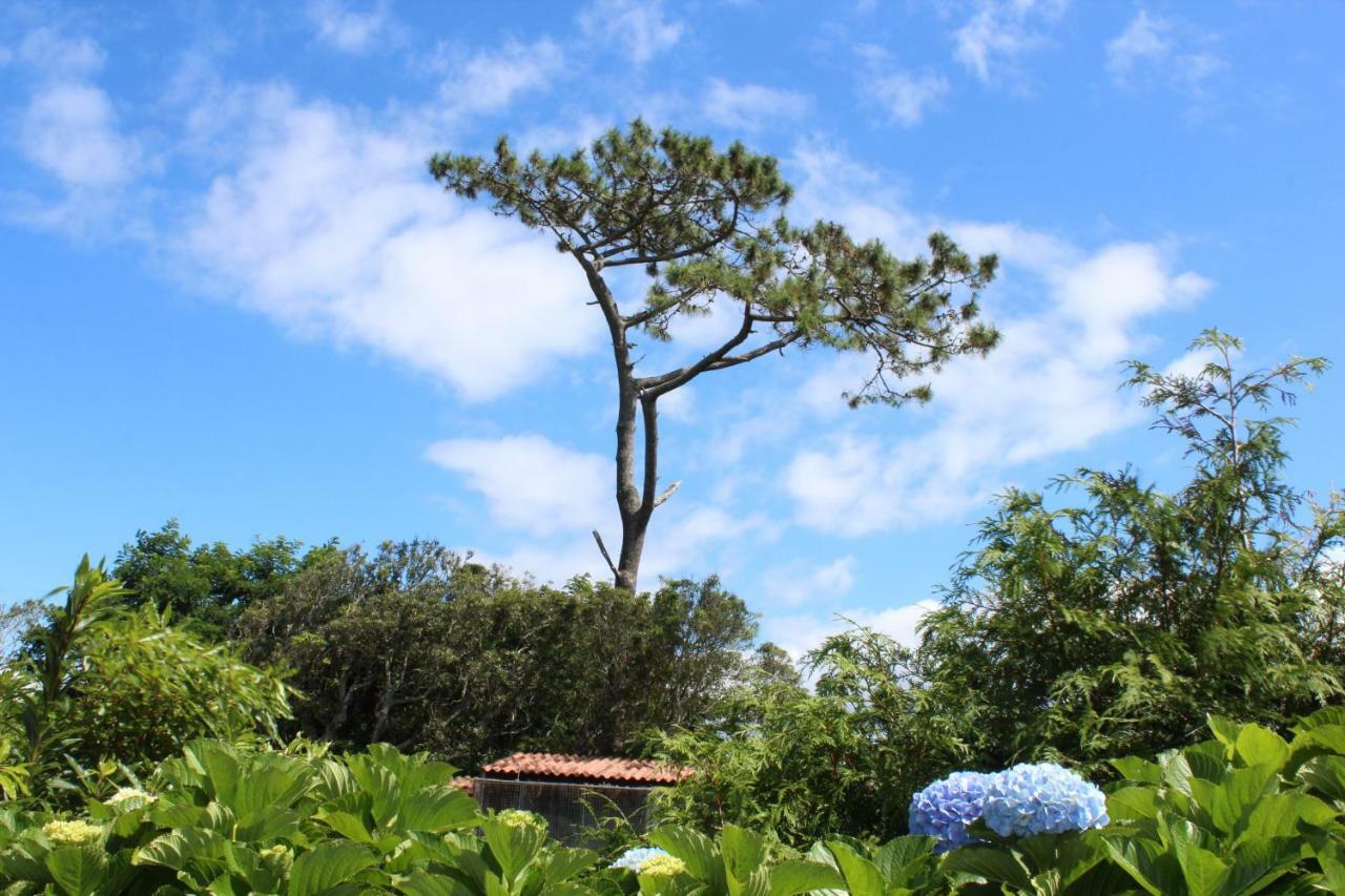 Quinta Do Torreao Vila Capelas Exterior foto